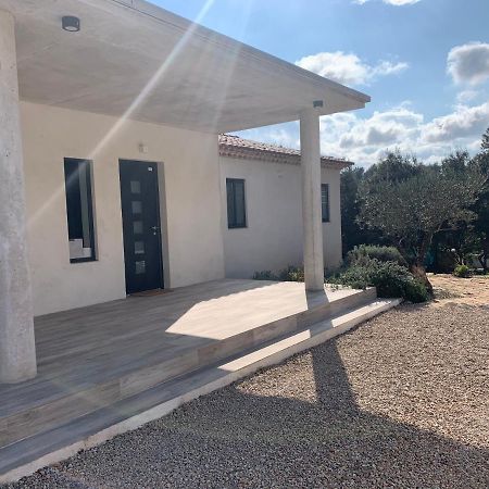 Flassans-sur-Issole Magnifique Villa Classee 4* Meuble De Tourisme מראה חיצוני תמונה